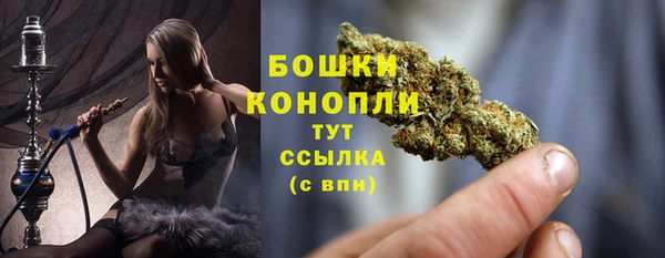 индика Верея