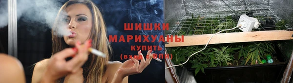 спиды Бронницы